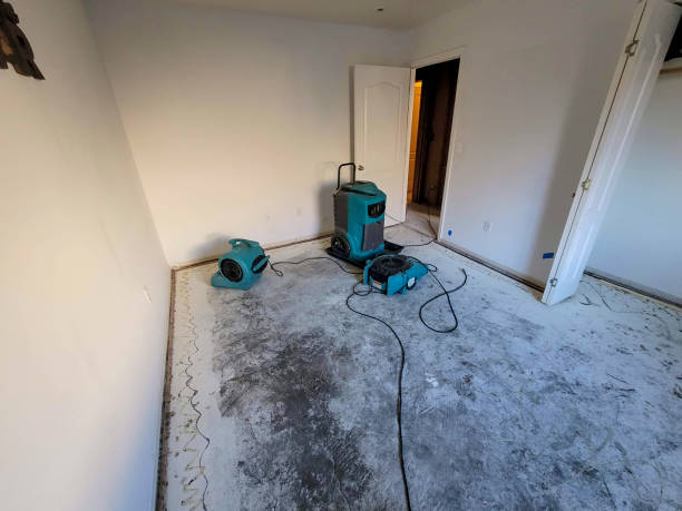 Best Water damage restoration near me  in Frankton, IN