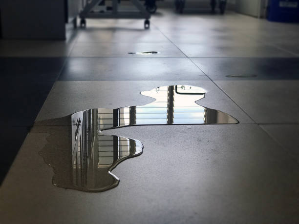 Best Commercial water damage restoration  in Frankton, IN