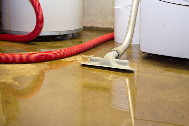 Best Water damage repair service  in Frankton, IN