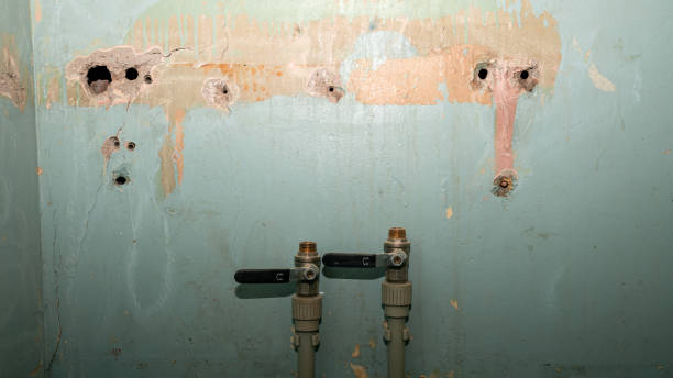 Best Flooded house restoration  in Frankton, IN