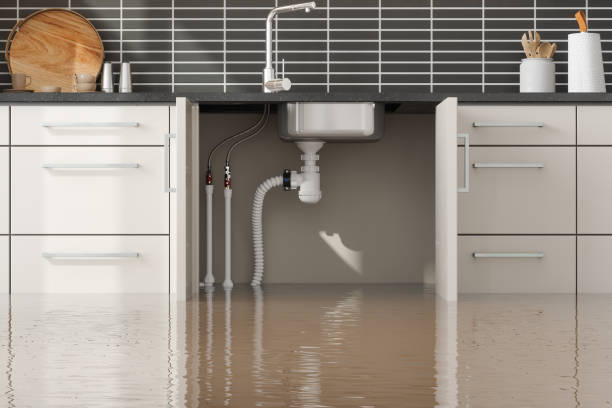 Best Residential water damage restoration  in Frankton, IN