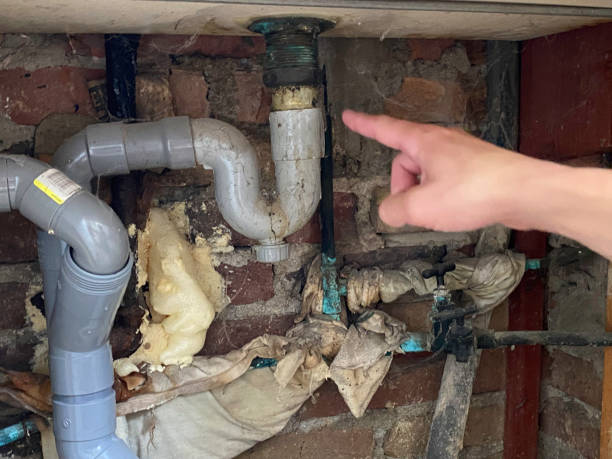 Best Flood damage cleanup  in Frankton, IN